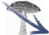 fungi