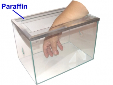 Open Lid glass 30x20 cm