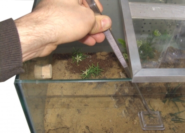 tweezers 20 cm - straight