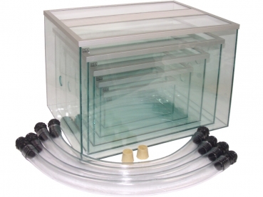 Alpha Ants 4 Basin Set