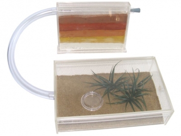 ANTSTORE Starter Set - mini farm/arena