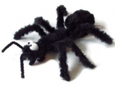 Fur ant