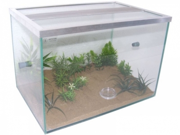 ANTSTORE Starter Set - basin vision - 30x20