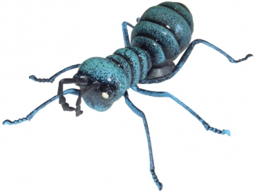magnetic ant blue