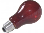 nightlight red A19/60 W