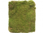 Lappenmoos, dried, nature, 4 litre