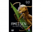 Ants - The secret world power (DVD)