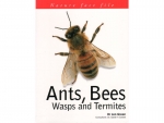 Book: Ants, Bees, Wasps and Termites