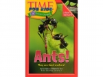 Book: Time for Kids - Ants