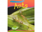 Book: Ants - Creepy Creatures