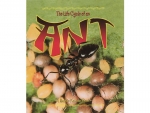 Book: The Life Cycle of an Ant