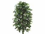 plasic ficus tree