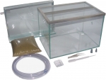 Alpha Ants Starter Set - C