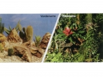 Photo rear wall, reciprocally, 10cm x 30cm