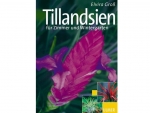 Book: Tillandsien f�r Zimmer und Wintergarten