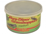 Herp Diner Grasshoppers 35g - medium