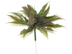 Stick Earth Star Tillandsie (with wire)