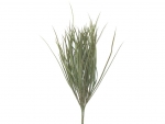 Stick Pampas Gras