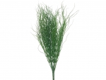 Stick Savannen Gras