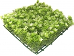 Flora Mat - Grasblume weiss FM-81