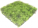 Flora Mat - Asparagus FM-84