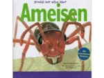 Book: Erstes Wissen  Ameisen