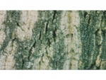 Photo rear wall tree trunk - 15m Rolle