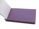 litmus paper blue
