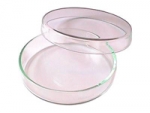 petri dish 60 x 15 mm