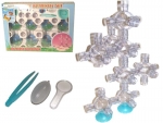 Ant farm 