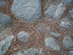 Rear wall 30x20cm stone 003