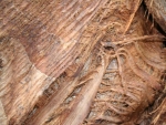 Rear wall 30x20cm wood 004