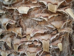 Rear wall 30x20cm wood 005