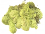Island moss 50g light green