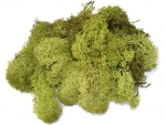 Island moss 50g dark green