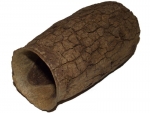Jecetiba big