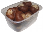 chestnut 100gs