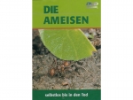 Die Ameisen (DVD)