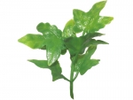 stick plants J
