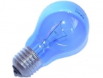 Daylight Blue - bulb A19/40 W