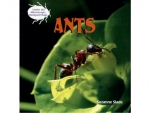 Book: Ants (Under the Microscope: Backyard Bugs)