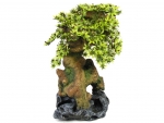 BONSAI 212605