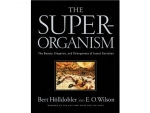 Book: The Superorganism