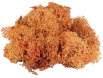 Iceland moss 50g orange
