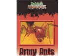 Book: Nature's Minibeasts: Army Ants