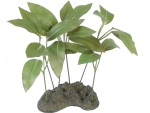 Pondweed silk plant 22cm