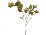 Branch - Beech 110cm