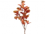 Branch - Oak 140cm