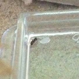 19.07.2010 (001).JPG