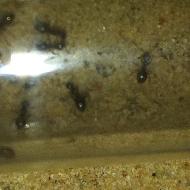 19.07.2010 (004).JPG